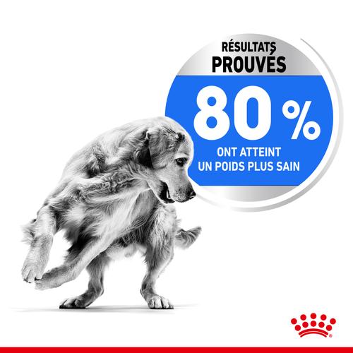 Visuel 4 du produit Royal Canin Croquettes Chien Medium Light Weight Care - 3 kg