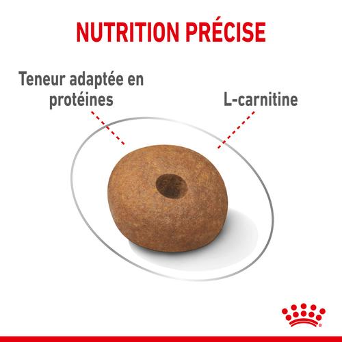 Visuel 5 du produit Royal Canin Croquettes Chien Medium Light Weight Care - 3 kg