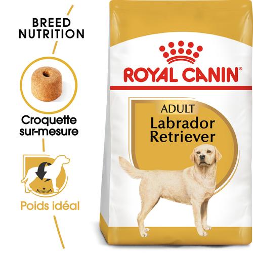 Visuel 3 du produit Croquettes Chien – Royal Canin Labrador Retriever Adulte – 12 kg