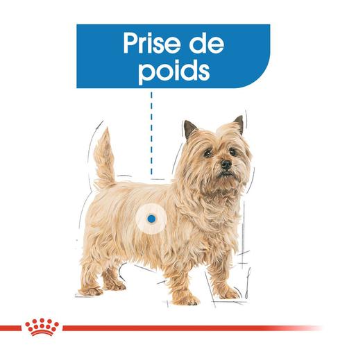 Visuel 3 du produit Royal Canin Croquettes Mini Light Weight Care - 8 kg