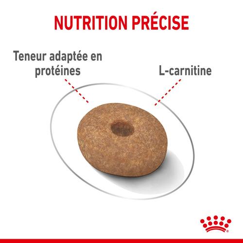 Visuel 5 du produit Royal Canin Croquettes Mini Light Weight Care - 8 kg