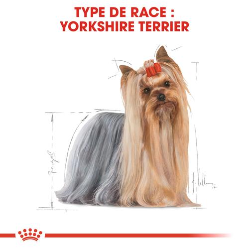 Visuel 4 du produit Royal Canin Croquettes Yorkshire Terrier Adult - 7,5 kg