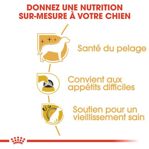 Visuel 6 du produit Royal Canin Croquettes Yorkshire Terrier Adult - 7,5 kg