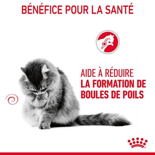 Visuel 3 du produit Royal Canin Croquettes Chat Hairball Care - 400 g