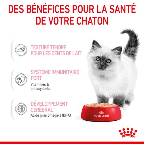 Visuel 4 du produit Royal Canin Sachet Mousse Kitten – 12 x 85 g