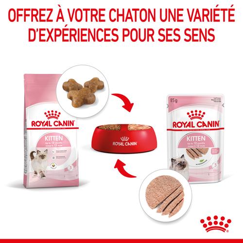 Visuel 7 du produit Royal Canin Sachet Mousse Kitten – 12 x 85 g