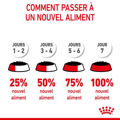 Visuel 9 du produit Royal Canin Sachet Mousse Kitten – 12 x 85 g
