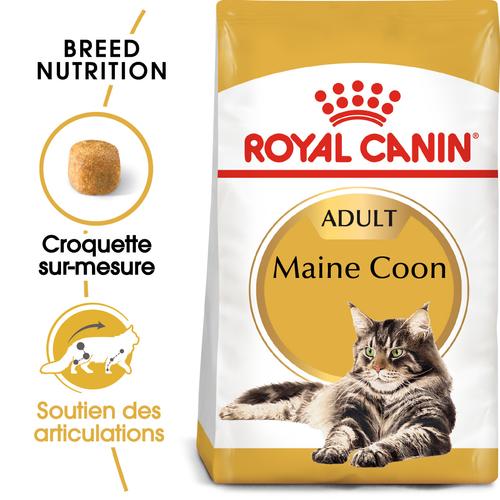 Visuel 3 du produit Croquettes Chat – Royal Canin Maine Coon – 2 kg