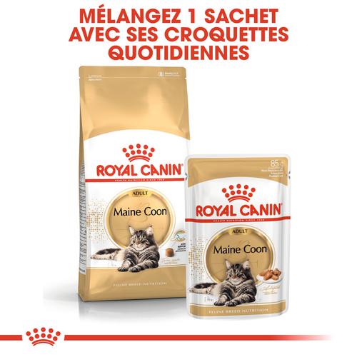 Visuel 6 du produit Croquettes Chat – Royal Canin Maine Coon – 2 kg