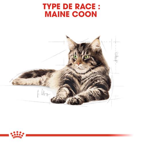 Visuel 4 du produit Croquettes Chat – Royal Canin Maine Coon -  4 kg