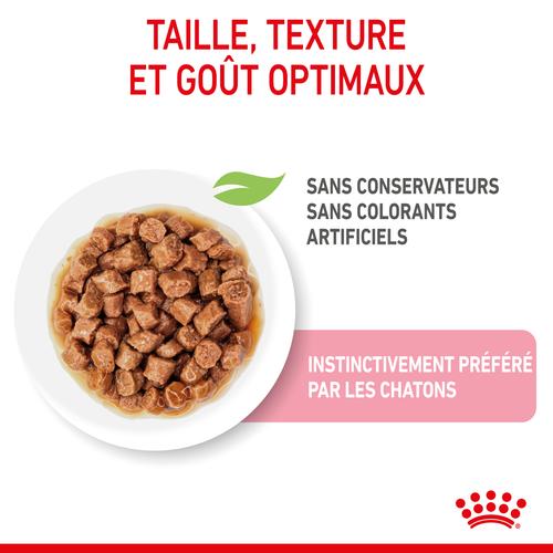 Visuel 4 du produit Boîtes Chat – Royal Canin Sachet Sauce Kitten Sterilised - 12 x 85 g