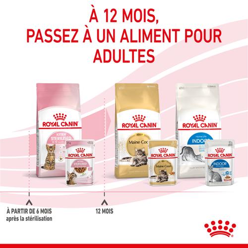 Visuel 6 du produit Boîtes Chat – Royal Canin Sachet Sauce Kitten Sterilised - 12 x 85 g