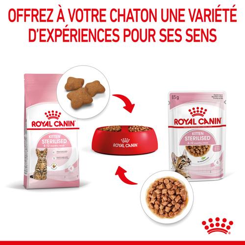 Visuel 7 du produit Boîtes Chat – Royal Canin Sachet Sauce Kitten Sterilised - 12 x 85 g