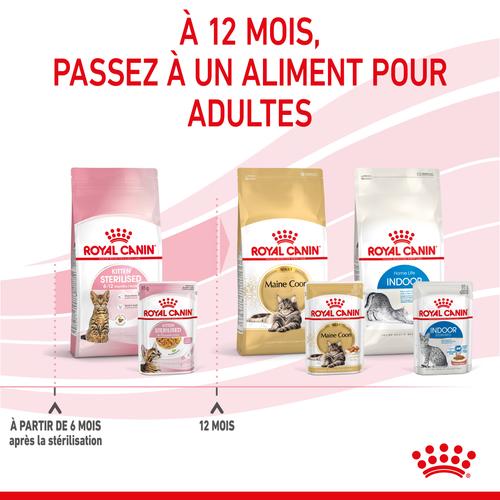 Visuel 6 du produit Royal Canin Sachet Gelée Kitten Sterilised - 12 x 85 g