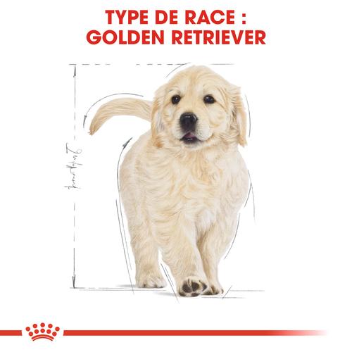 Visuel 4 du produit Royal Canin Croquettes Chien Golden Retriever Junior - 12 kg