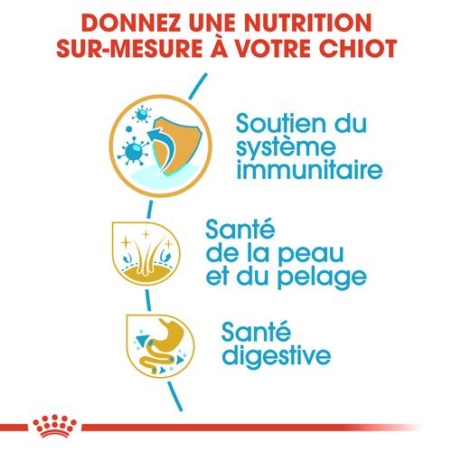 Visuel 5 du produit Royal Canin Croquettes Chien Golden Retriever Junior - 12 kg