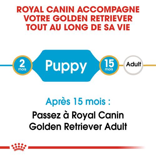 Visuel 6 du produit Royal Canin Croquettes Chien Golden Retriever Junior - 12 kg