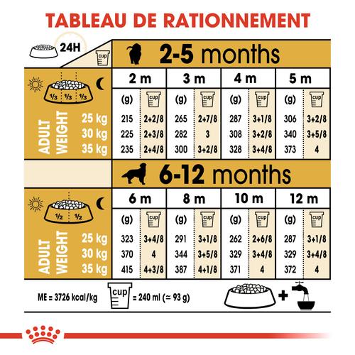 Visuel 7 du produit Royal Canin Croquettes Chien Golden Retriever Junior - 12 kg