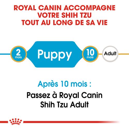 Visuel 6 du produit Royal Canin Croquettes Chiot Shih Tzu Junior - 1,5 kg