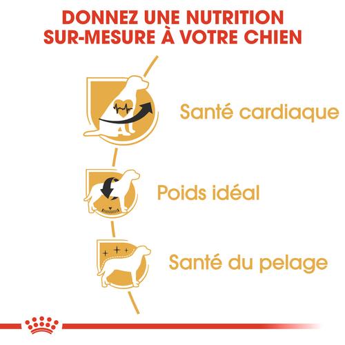 Visuel 4 du produit Royal Canin Croquettes Chien Cavalier King Charles Adult - 7,5 kg