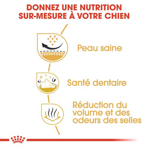 Visuel 3 du produit Royal Canin Croquettes Shih Tzu Adulte – 1,5 kg