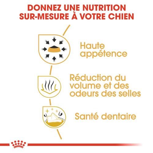 Visuel 6 du produit Croquettes Chien – Royal Canin Chihuahua Adulte – 1,5 kg