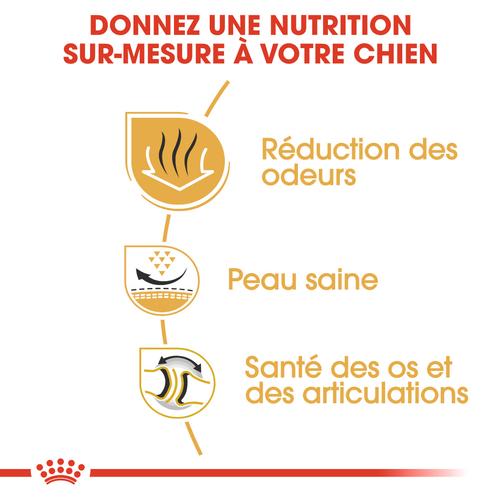 Visuel 3 du produit Royal Canin Croquettes Bulldog Anglais Adulte – 12 kg