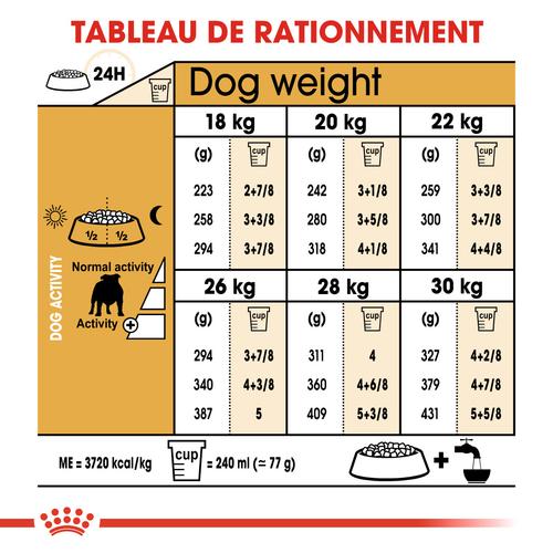 Visuel 5 du produit Royal Canin Croquettes Bulldog Anglais Adulte – 12 kg