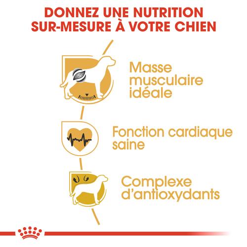 Visuel 3 du produit Royal Canin Croquettes Boxer Adulte – 12 kg