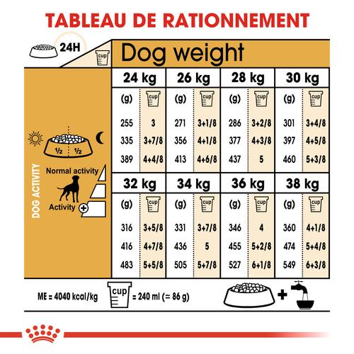 Visuel 6 du produit Royal Canin Croquettes Boxer Adulte – 12 kg