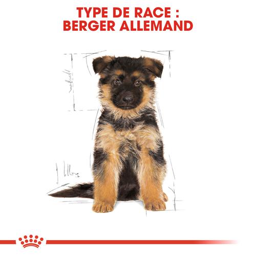 Visuel 4 du produit Royal Canin Croquettes Chiot Berger Allemand - 12 kg
