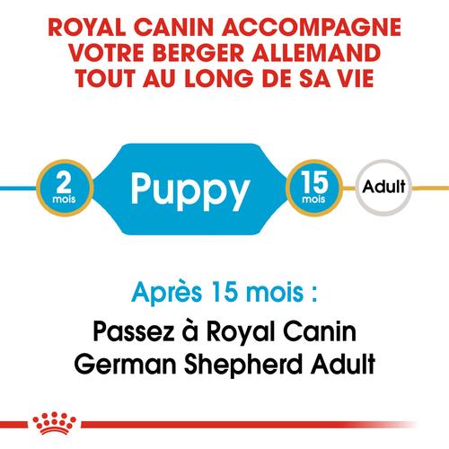 Visuel 5 du produit Royal Canin Croquettes Chiot Berger Allemand - 12 kg