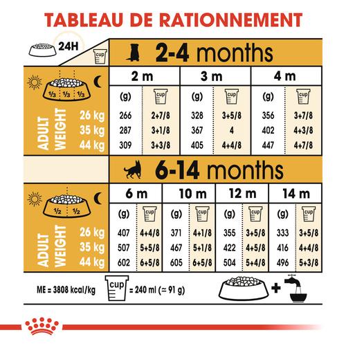 Visuel 6 du produit Royal Canin Croquettes Chiot Berger Allemand - 12 kg