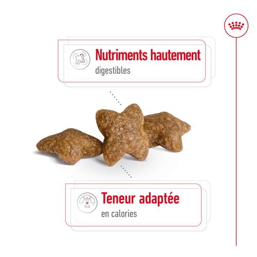 Visuel 4 du produit Croquettes Chien – Royal Canin Mini adulte – 4 kg
