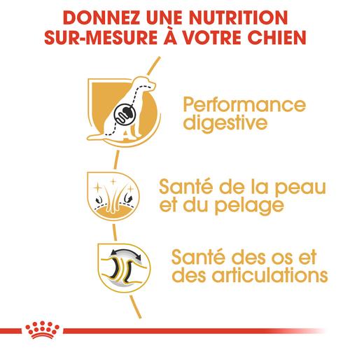 Visuel 4 du produit Royal Canin Croquettes Berger Allemand Adulte - 11 kg