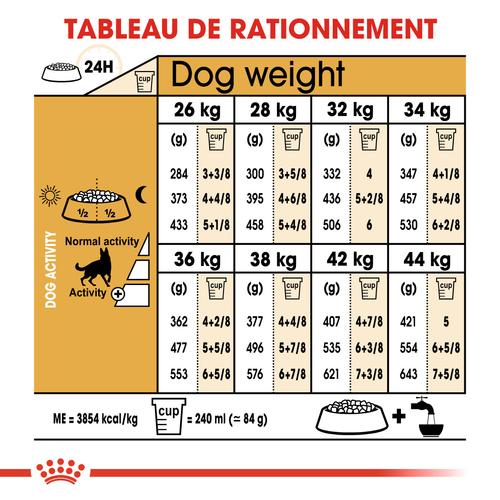Visuel 6 du produit Royal Canin Croquettes Berger Allemand Adulte - 11 kg