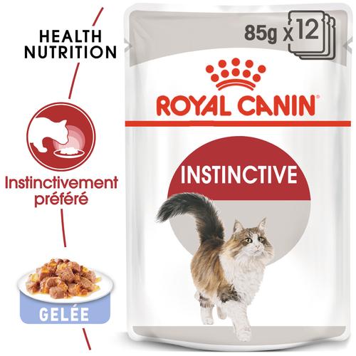 Visuel 3 du produit Boîtes Chat – Royal Canin Sachet Gelée Instinctive – 12 x 85 g