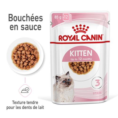 Visuel 3 du produit Boîtes Chat - Royal Canin Sachet Sauce Pack Chaton – 12 x 85 g