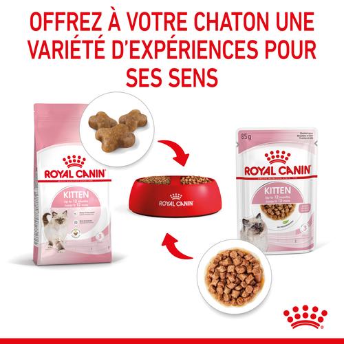 Visuel 7 du produit Boîtes Chat - Royal Canin Sachet Sauce Pack Chaton – 12 x 85 g