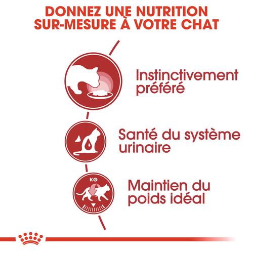 Visuel 5 du produit Boîtes Chat – Royal Canin Sachet Sauce Instinctive  – 12 x 85 g