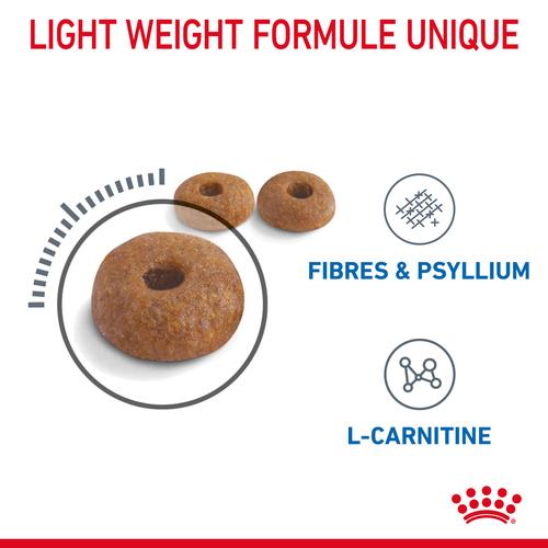 Visuel 5 du produit Royal Canin Croquettes Chat Light Weight Care - 8 kg