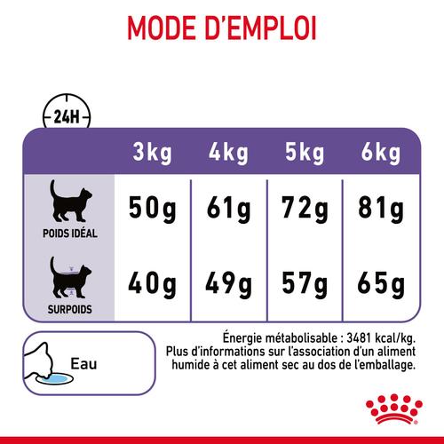 Visuel 8 du produit Croquettes Chat – Royal Canin Appetite Control Care - 2 kg