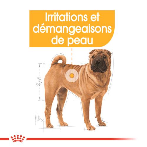 Visuel 4 du produit Royal Canin Croquettes Chien Medium Dermacomfort - 12 kg