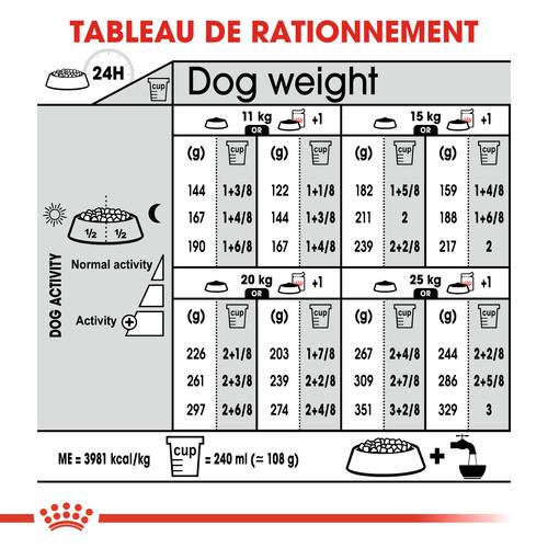 Visuel 6 du produit Royal Canin Croquettes Chien Medium Dermacomfort - 12 kg