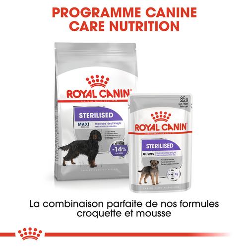 Visuel 7 du produit Croquettes Chien – Royal Canin Maxi Sterilised Adult – 12 kg