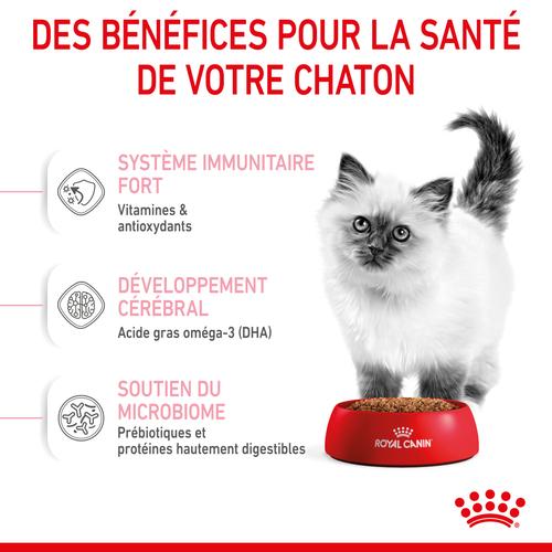 Visuel 4 du produit Croquettes Chat – Royal Canin Kitten 36 - 400 g