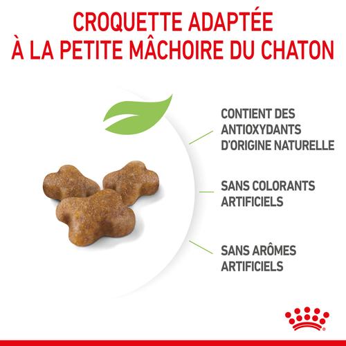 Visuel 6 du produit Croquettes Chat – Royal Canin Kitten 36 – 4 kg
