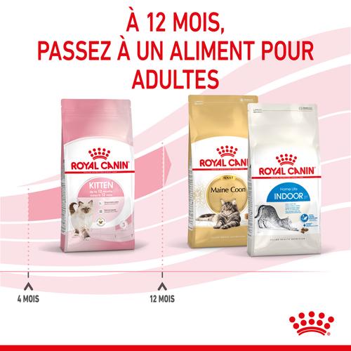 Visuel 6 du produit Croquettes Chat – Royal Canin Kitten 36 – 2 kg