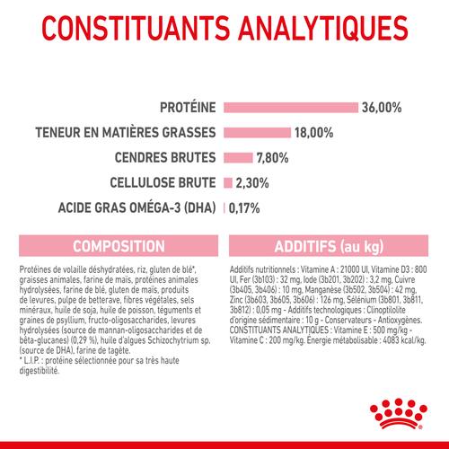 Visuel 9 du produit Croquettes Chat – Royal Canin Kitten 36 – 2 kg