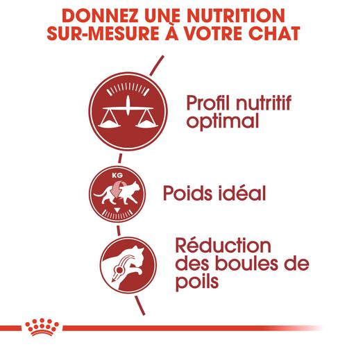 Visuel 4 du produit Croquettes Chat – Royal Canin Fit 32 – 400 g